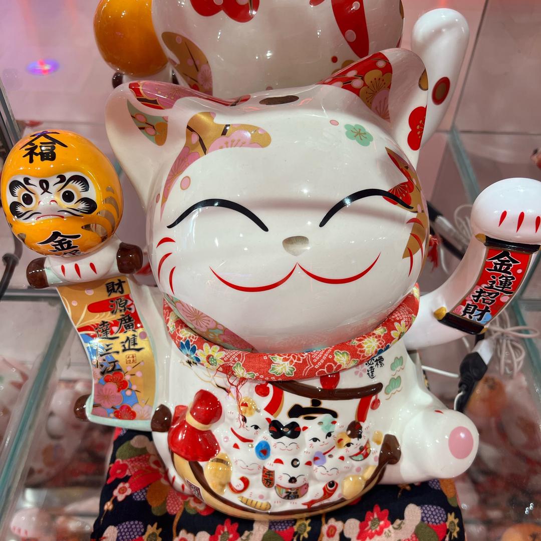开心果-依依