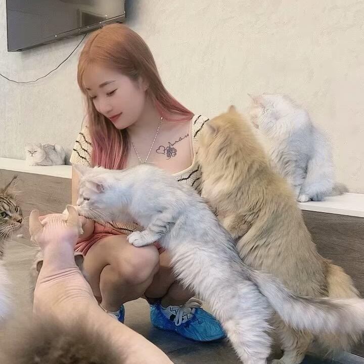 田芳芳