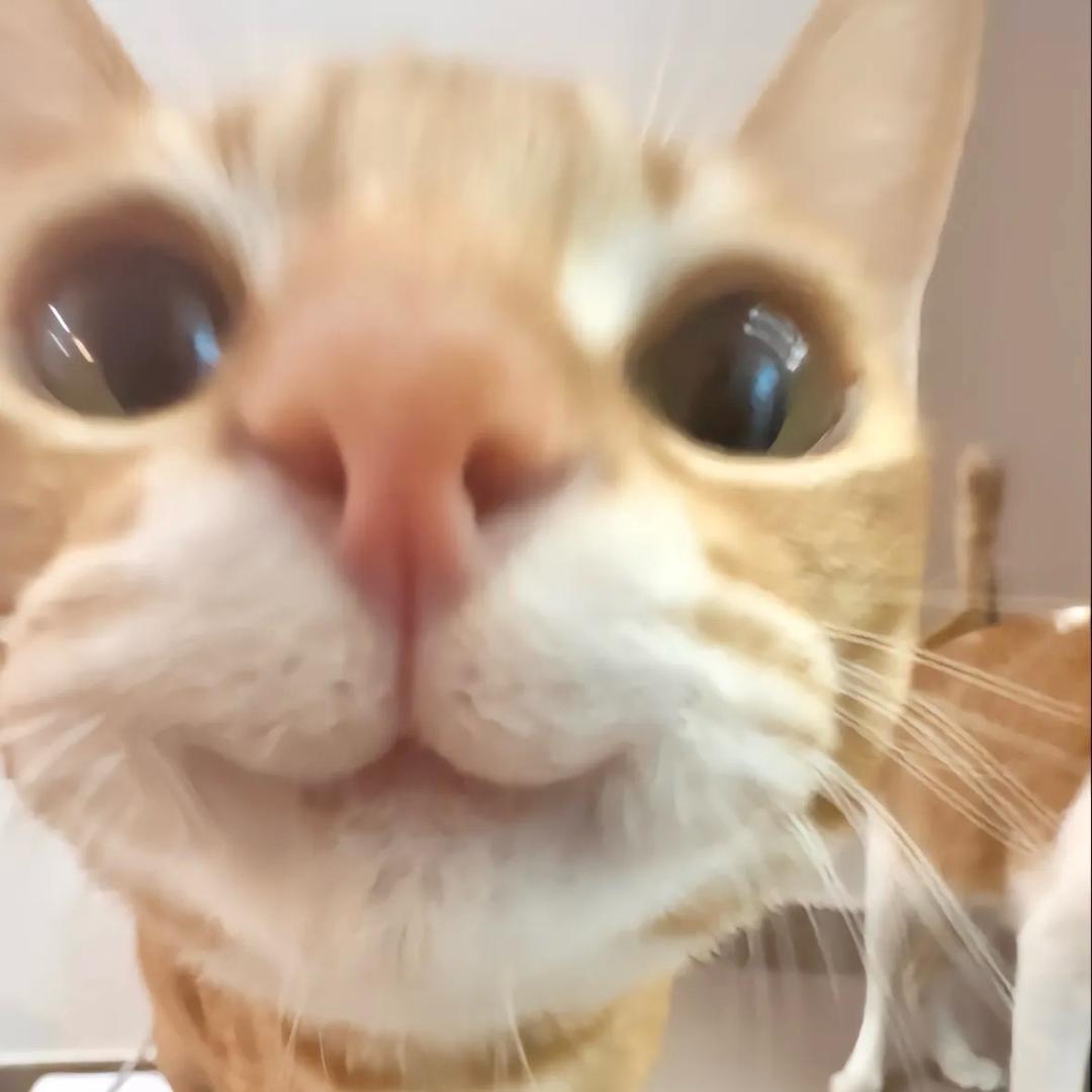 小织