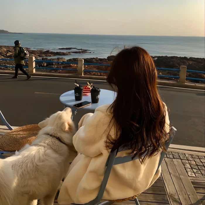 房宝宝很平凡🇨🇳