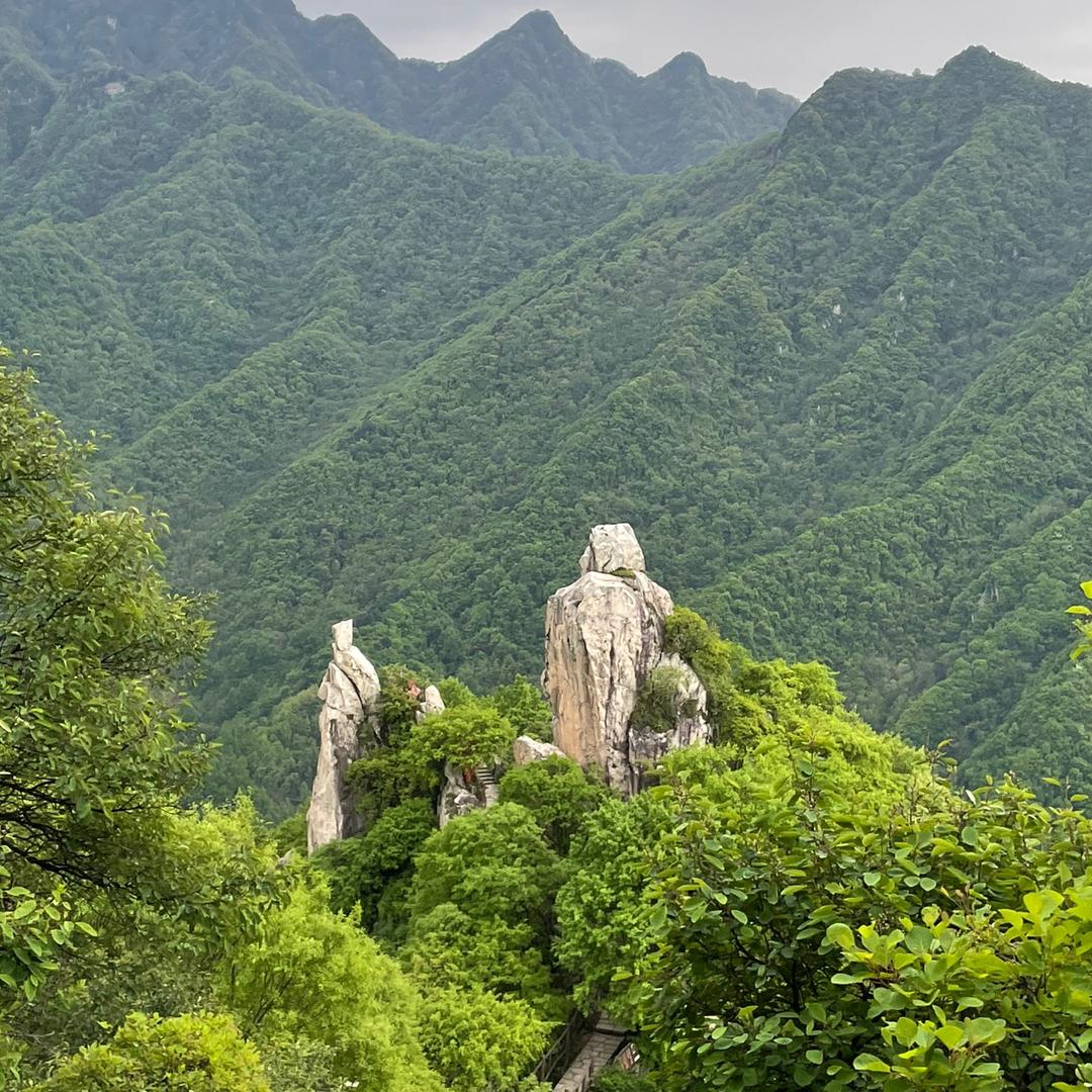 乘风破浪（洛川小果农）
