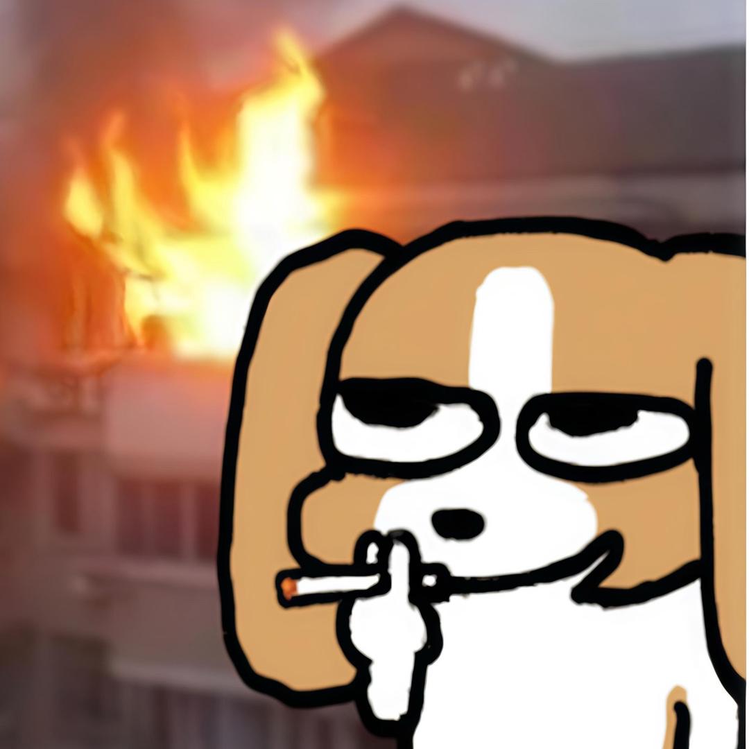 有限理性