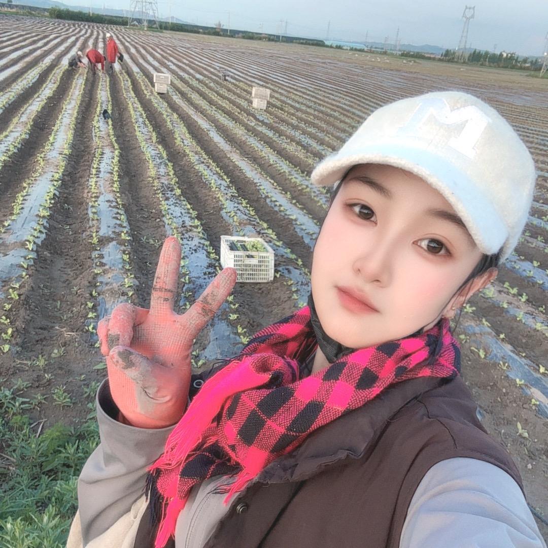 亚楠很努力（小号）