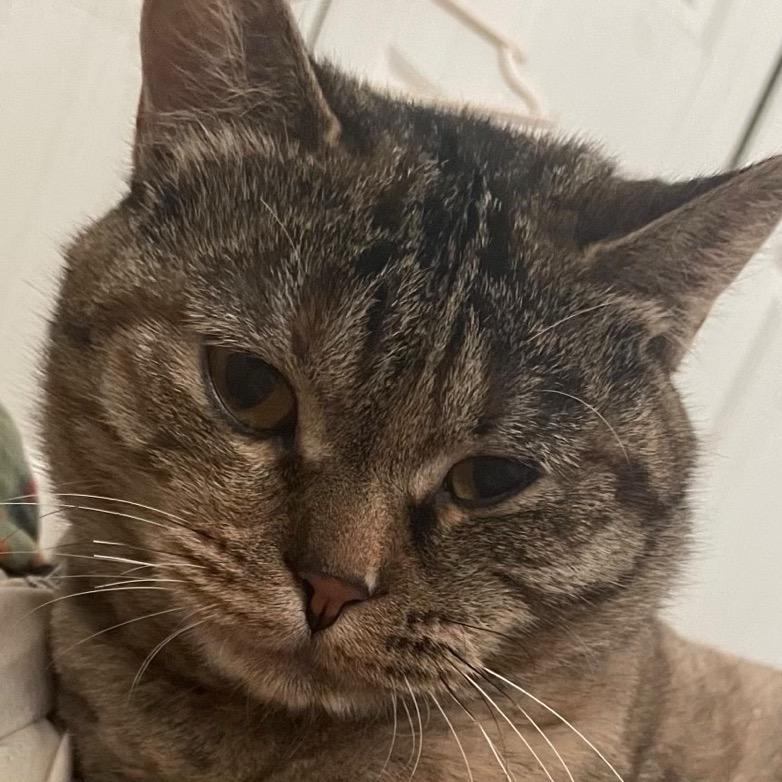 新乡县小冀镇志钢牛肉