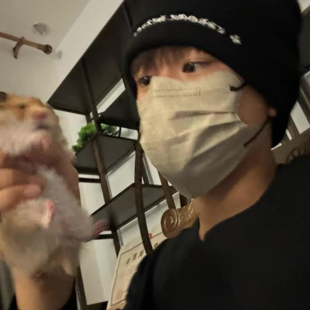 养只不吃猫的鱼