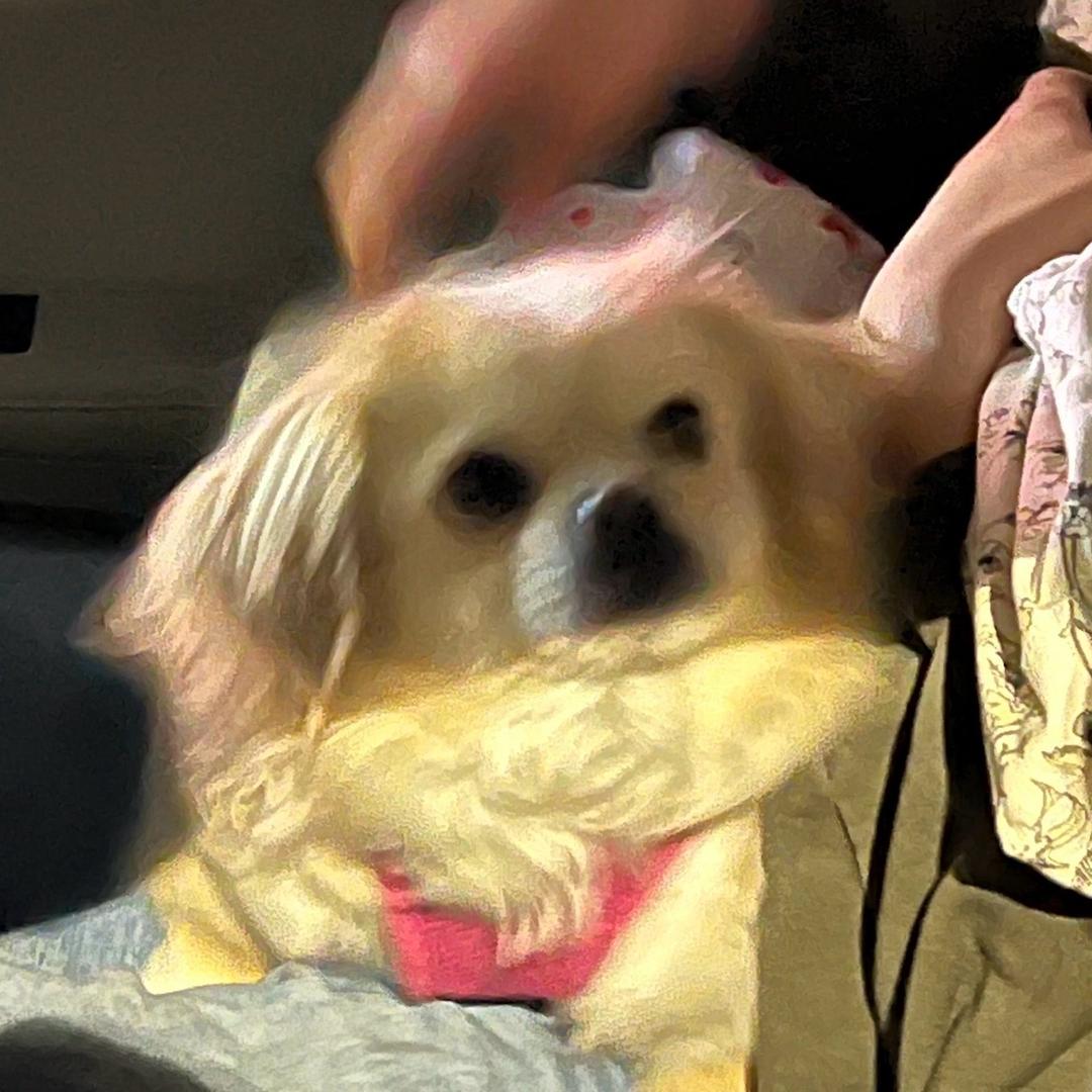 早睡早起身体健康