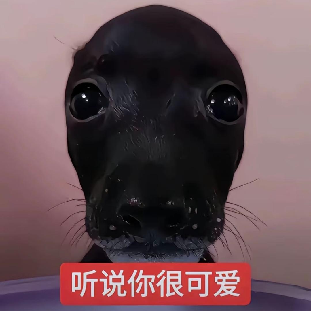 抑郁的火鸡面