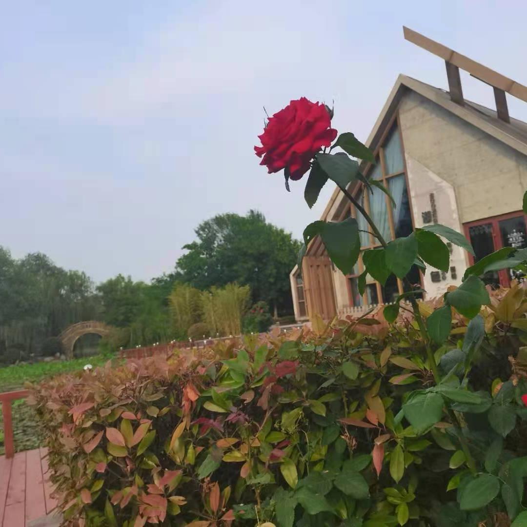 小太阳☀️