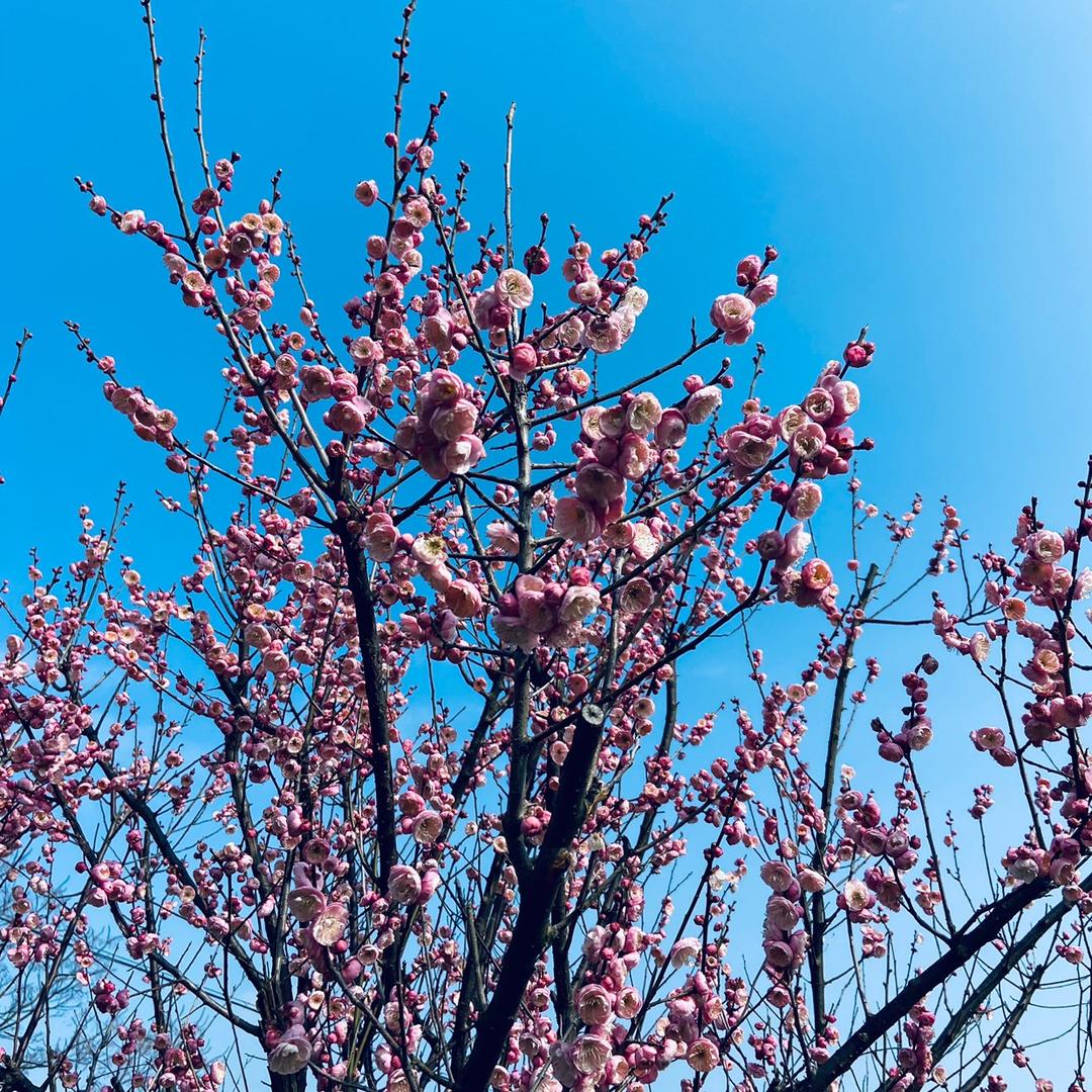 吴溪河边