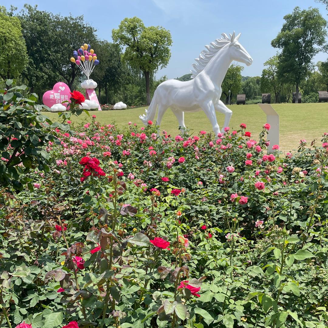 永远都在记忆中