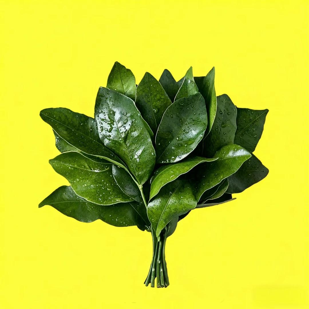 十堰黑鑫二手车交易有限公司