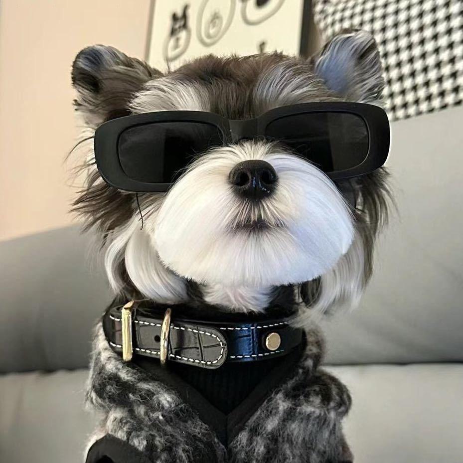 YG