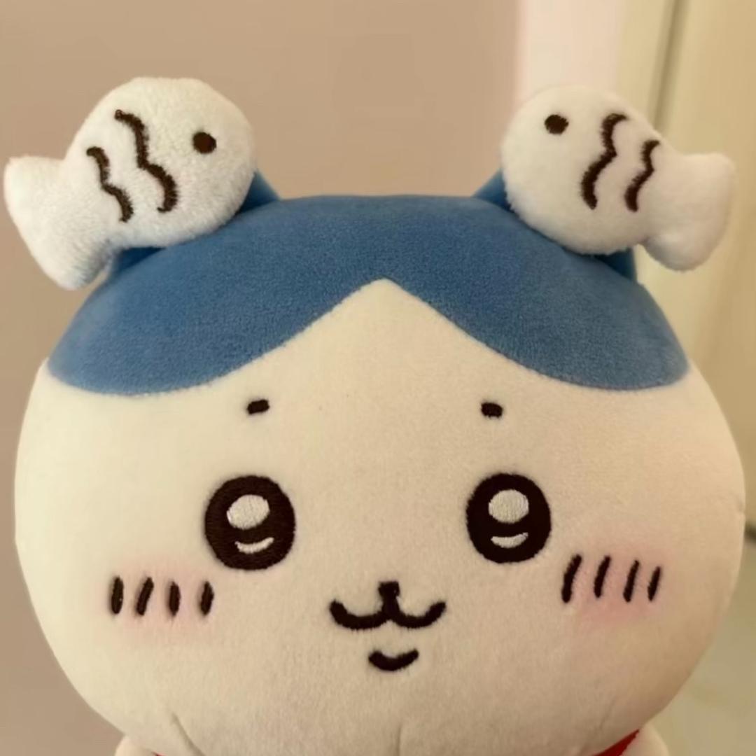 运行图_🐟