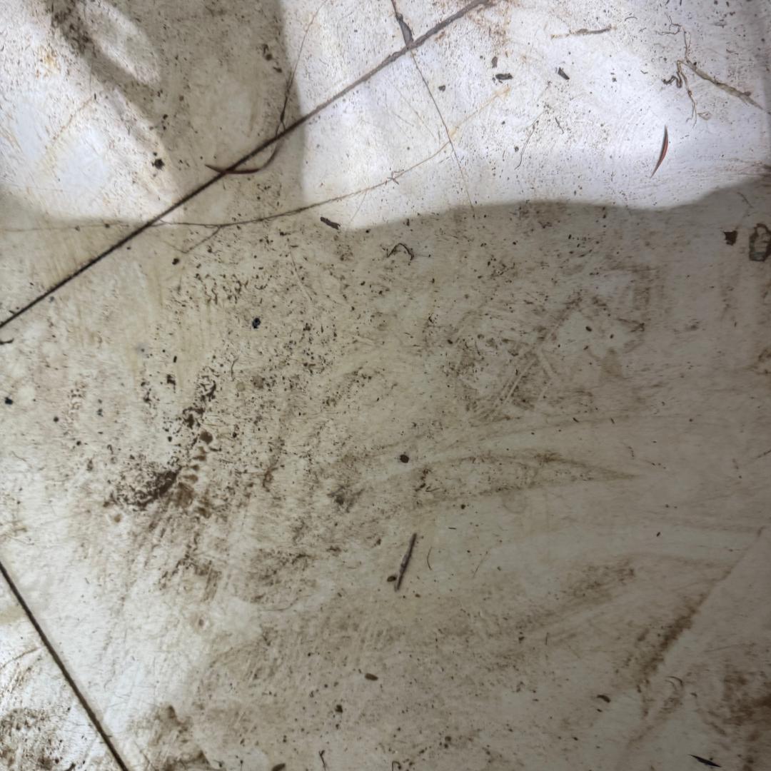 6987452046
