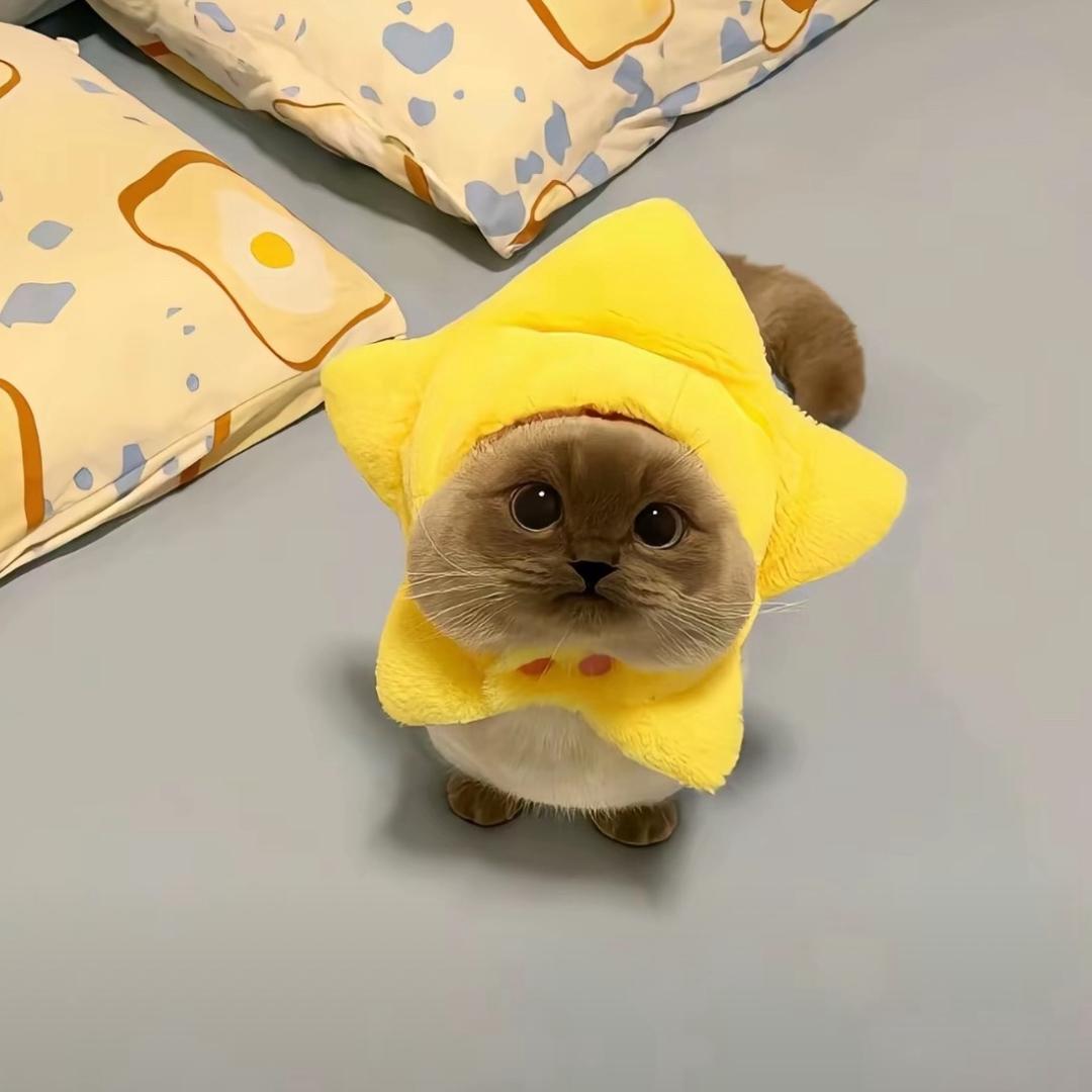 悠悠好物•🛒