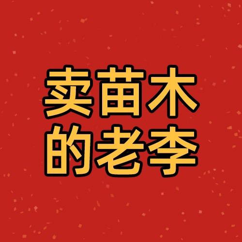 苗木老李