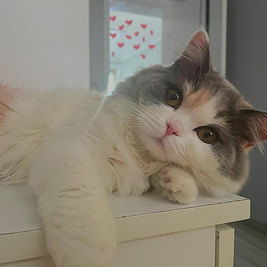 温存  .（三角洲行动）