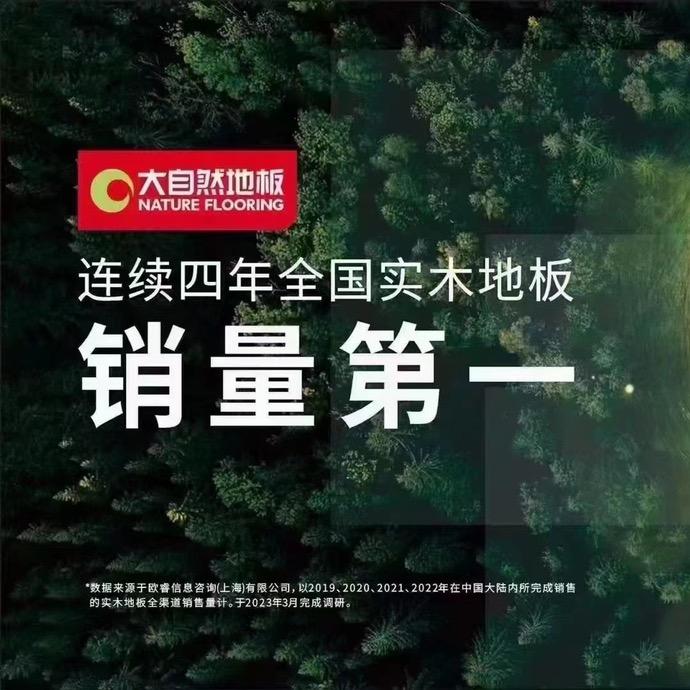 日景装饰设计、大自然地板一一舒木兴