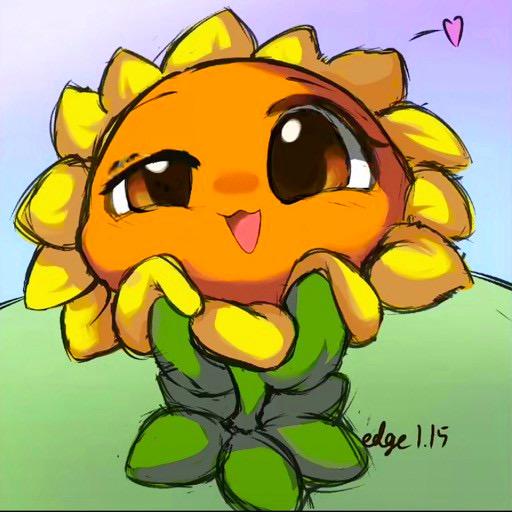花花不卖