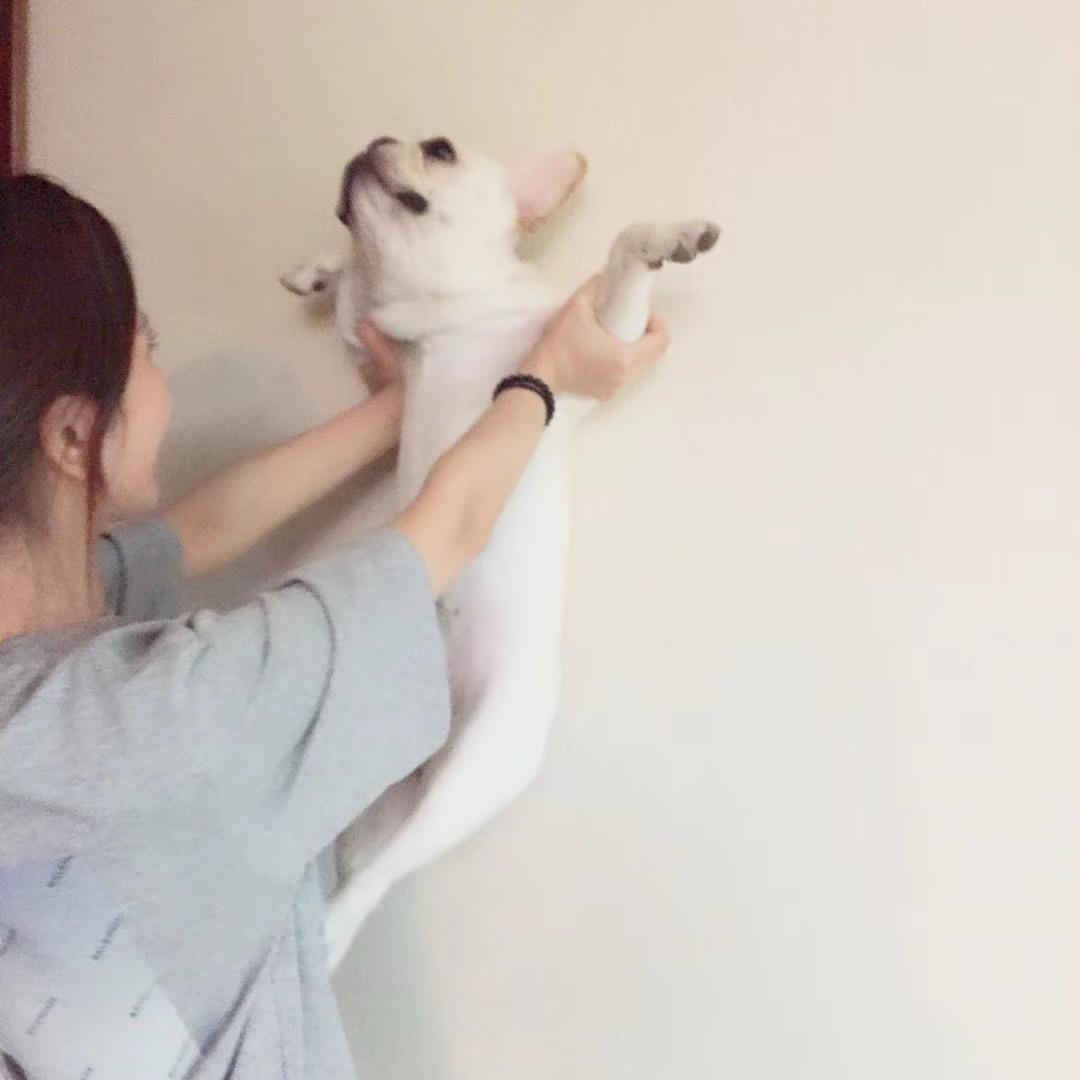 🍉西瓜大大