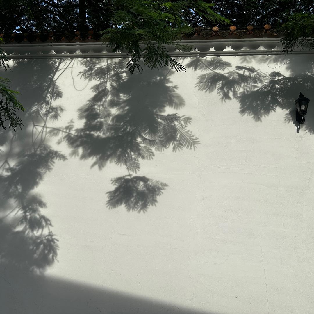 晨曦⛅️ ⛅️ ⛅️