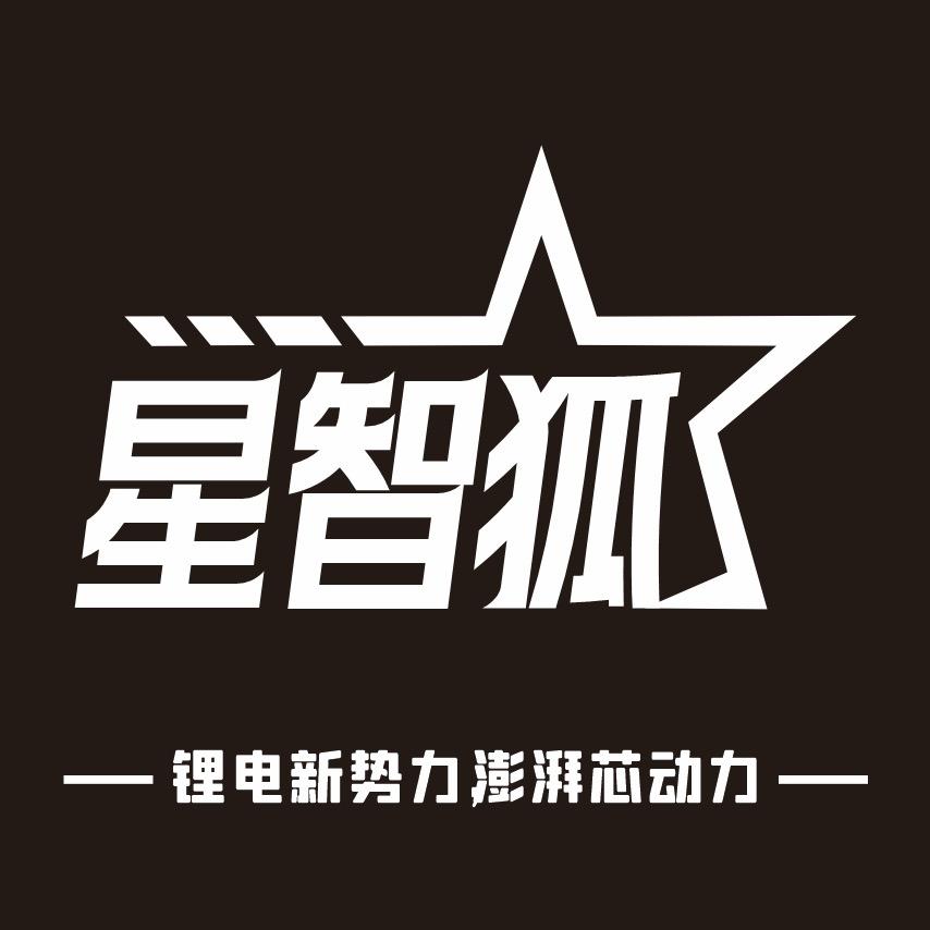 星智狐锂电工厂店