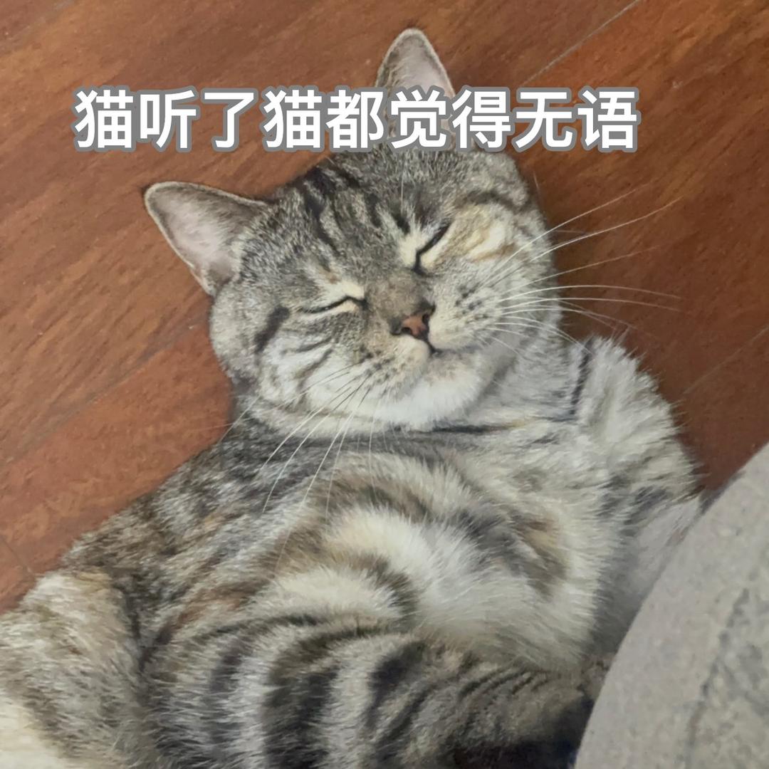 高贵冷艳钱多多