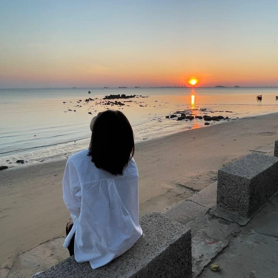 海鸥爱小杨.