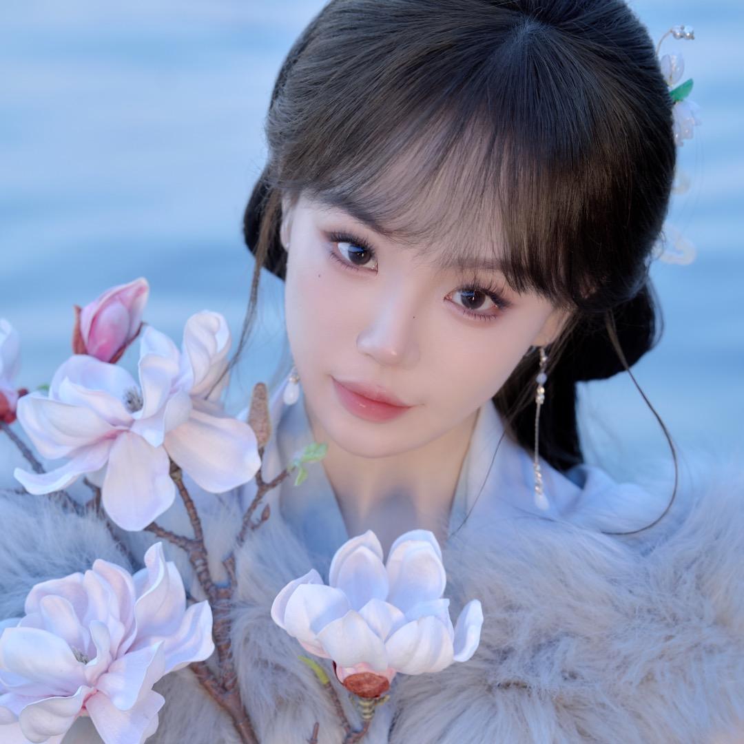 金鱼姬🐳琵琶（回归版）