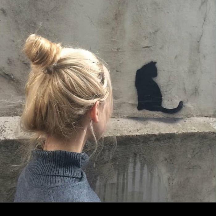 夹🐻饼干
