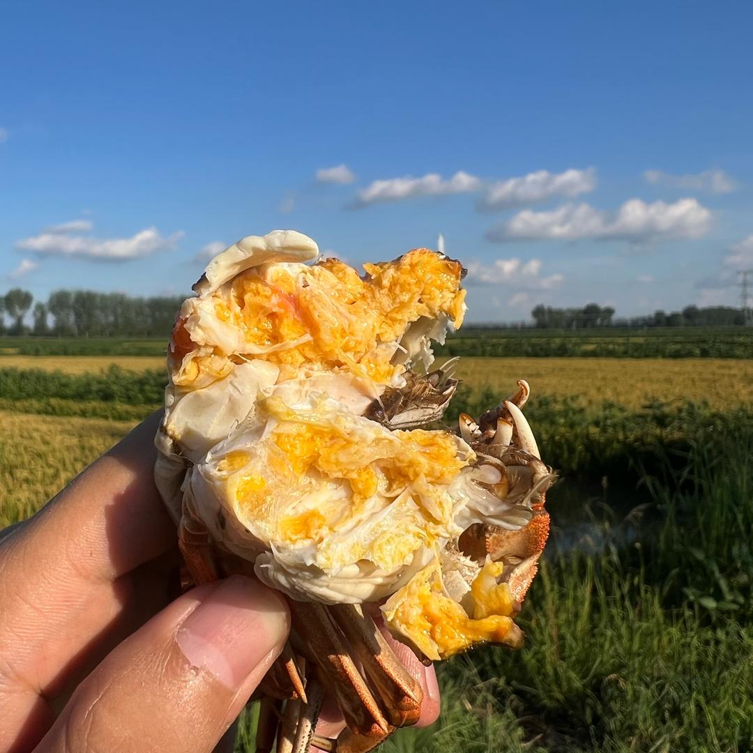 乐果趣道农产品