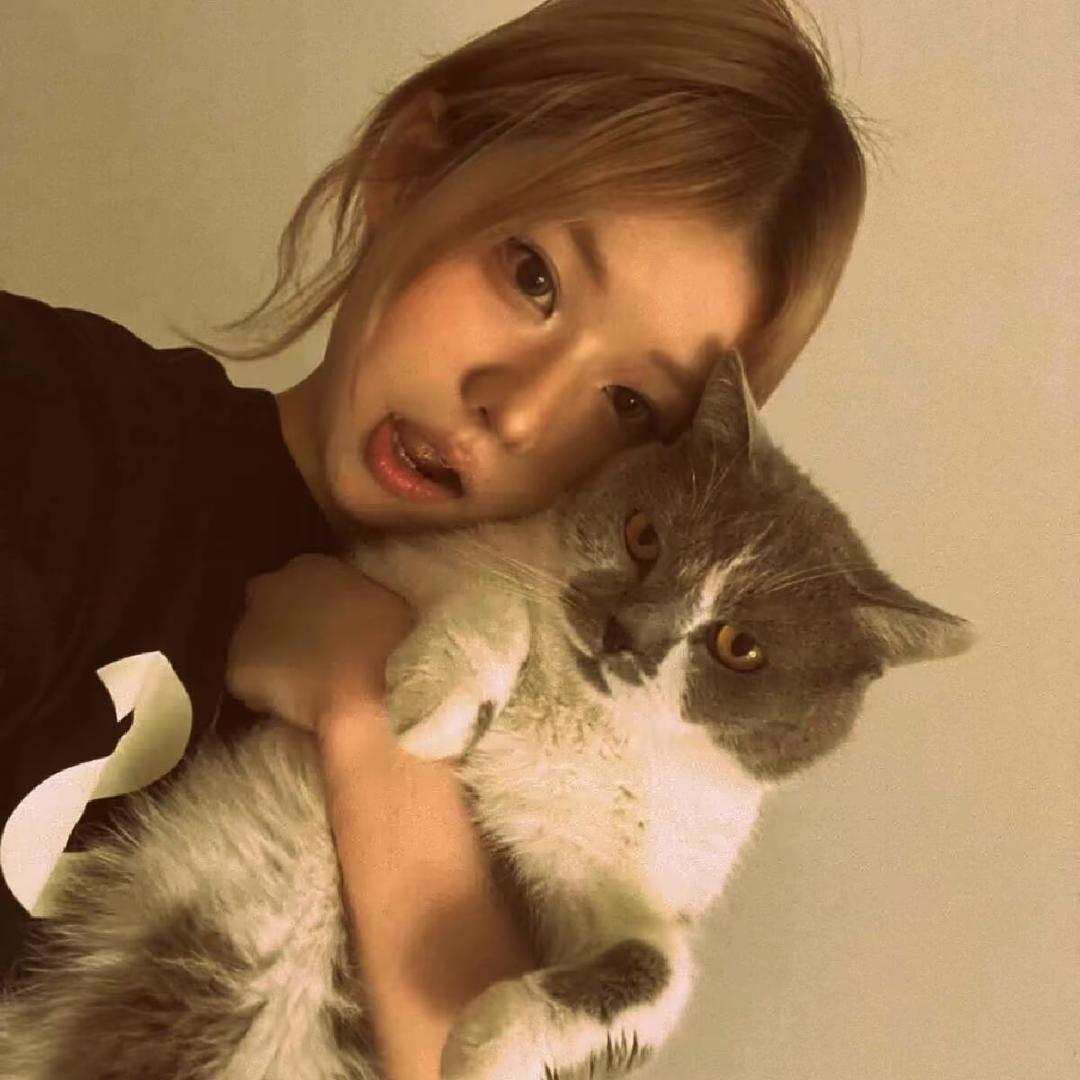 猫的树