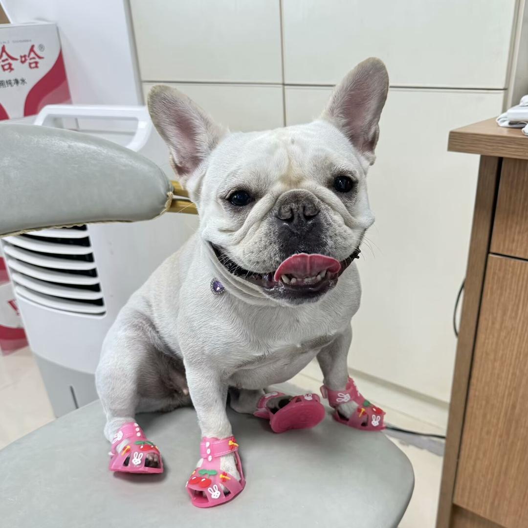 小如意