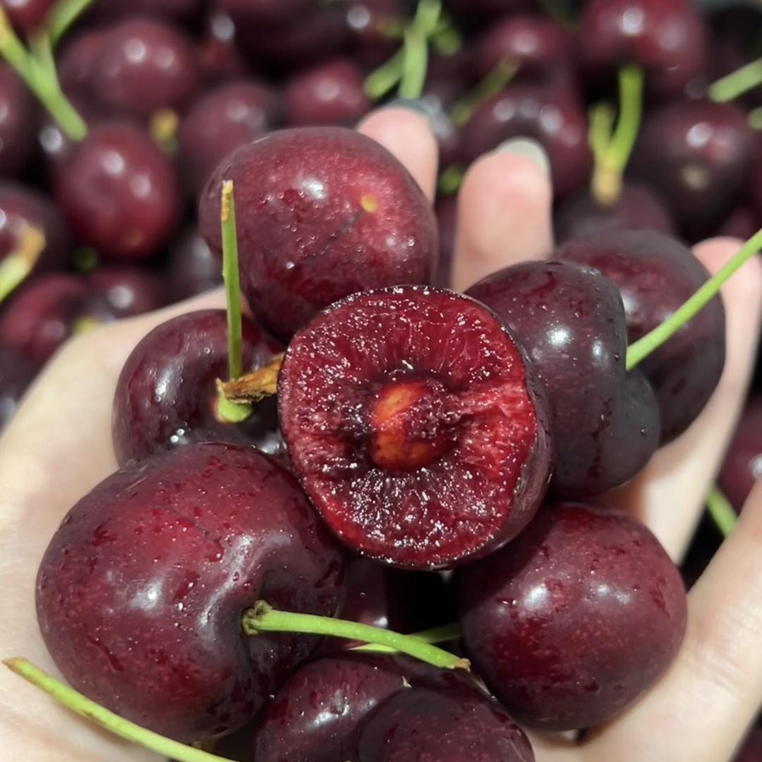 A级智利精选车厘子