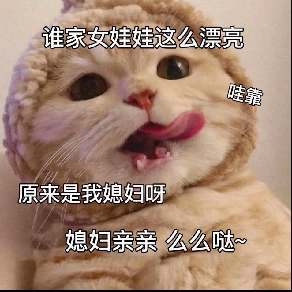 金主