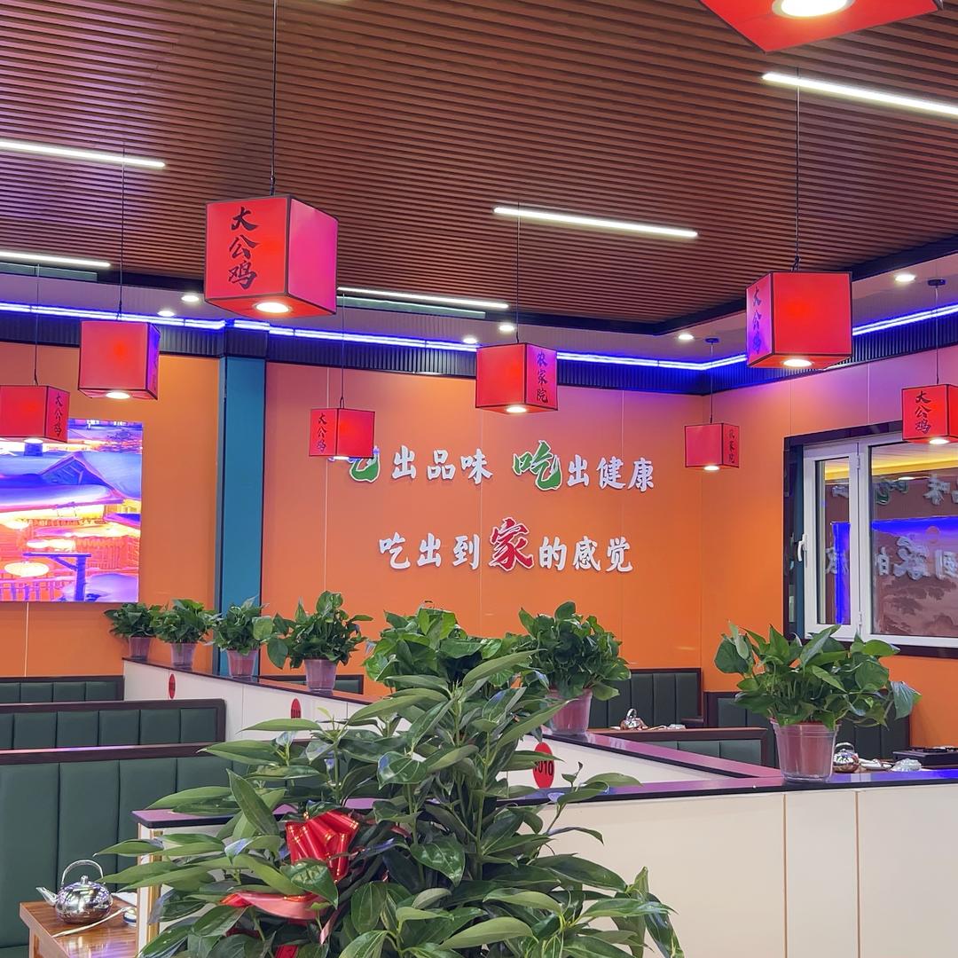 农家院炖大公鸡医专店