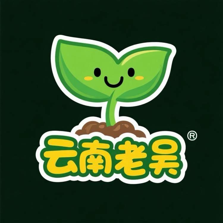 云南蔬菜育苗基地