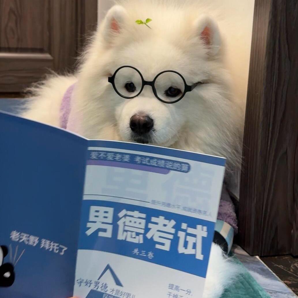 洪世贤小号