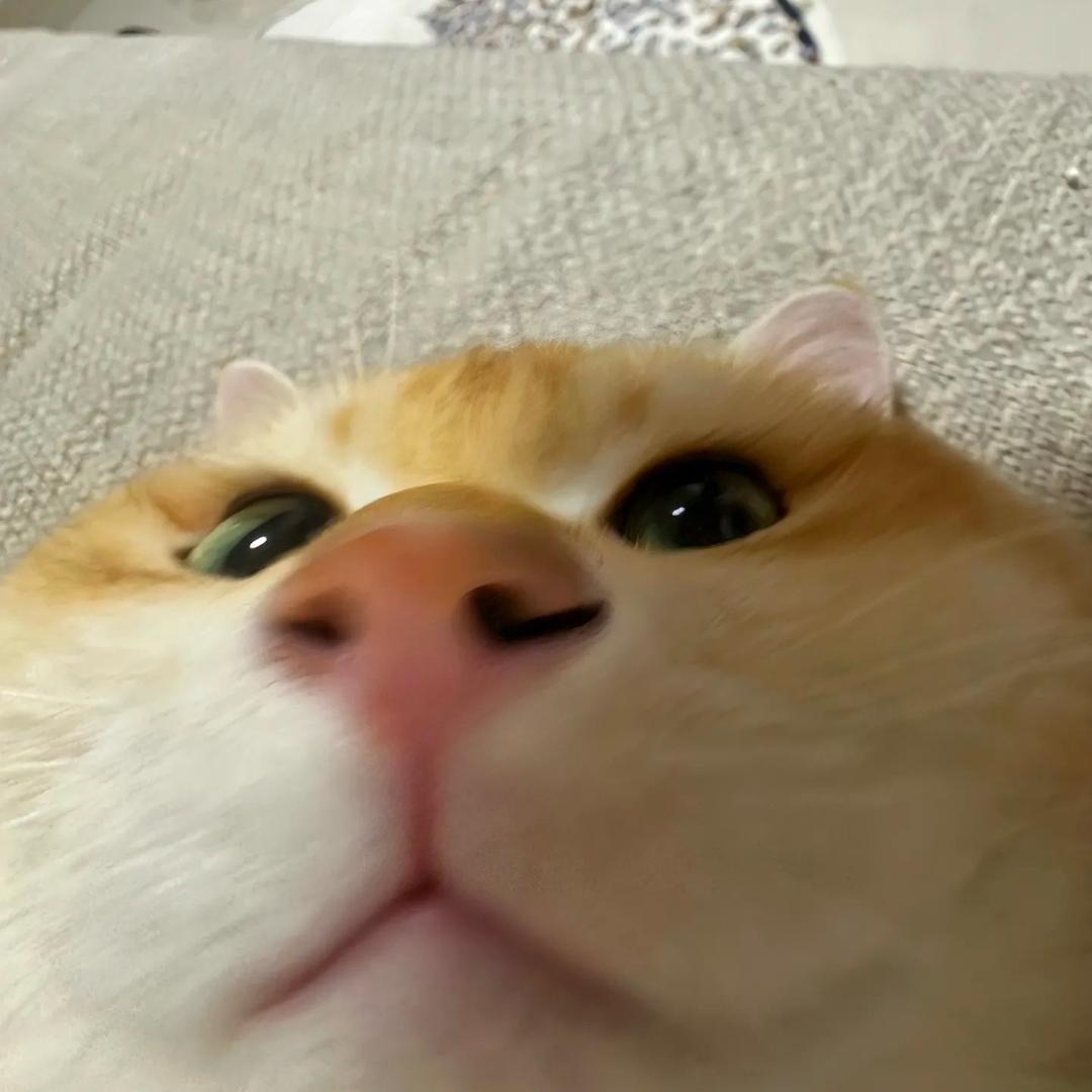 嘿仔 呓肆