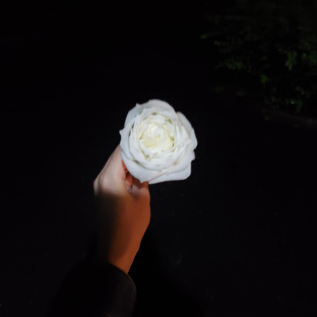 ow银牌导师小WY(高分版本）