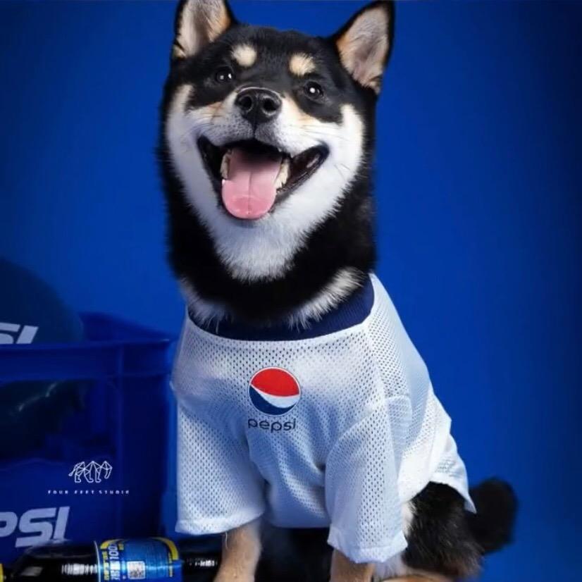 百事可乐🥤