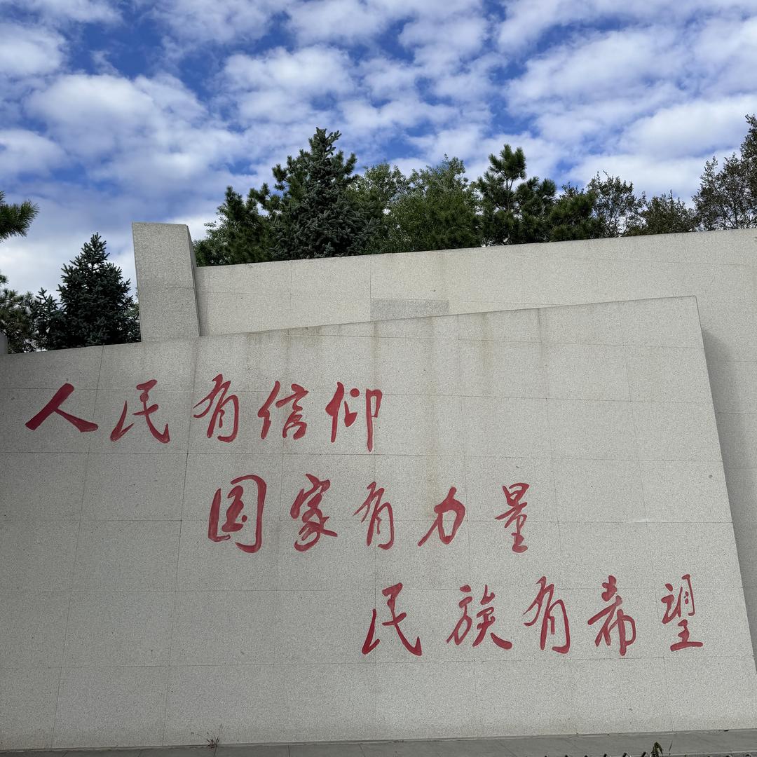 爱吃鱼的老鼠