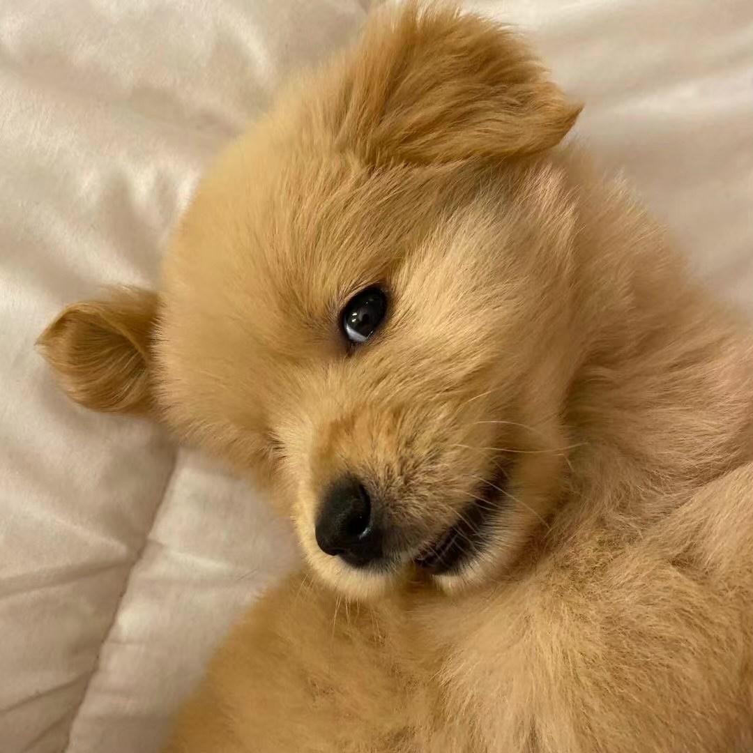 余温温_以闪互关版