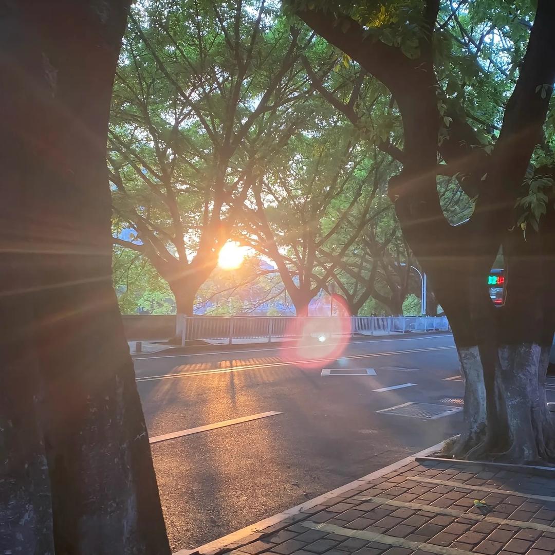 @Sꫀꪀડitiꪜꫀ