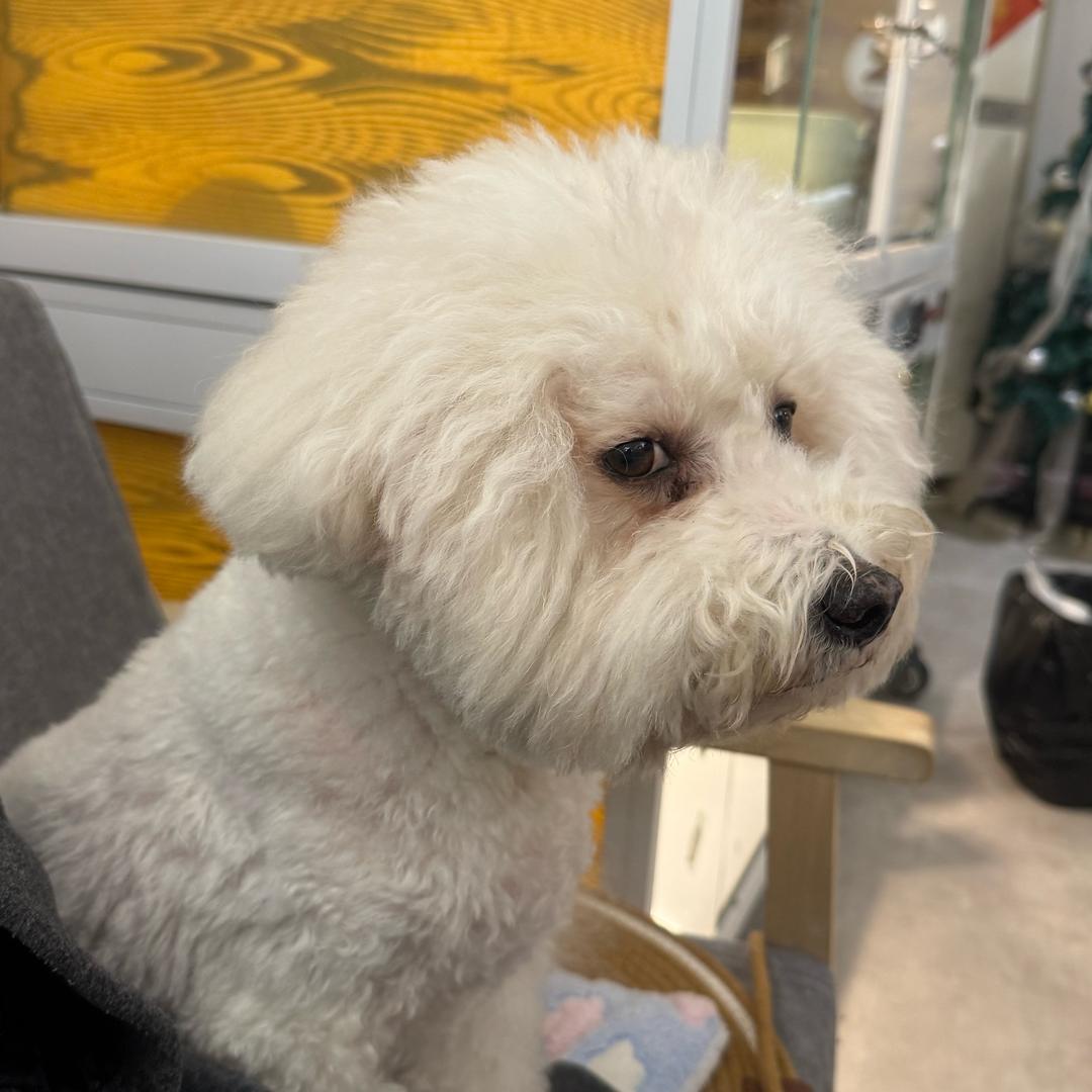 濂溪区腾峰百货店（个体工商户）