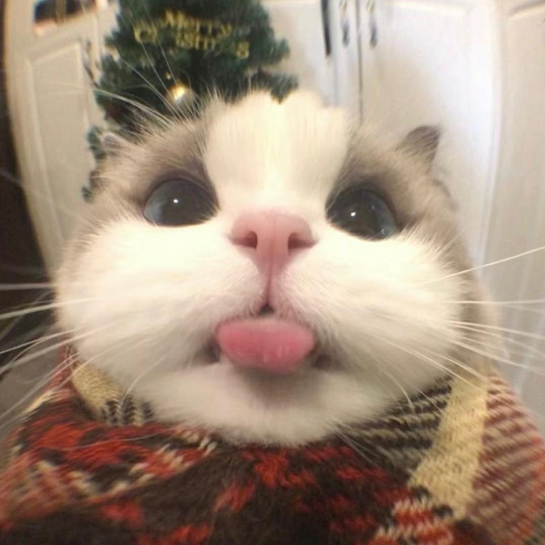 小留同学