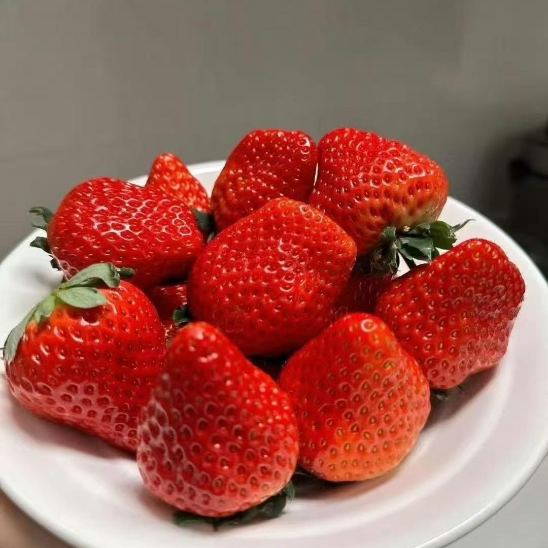 丹东99草莓超好吃