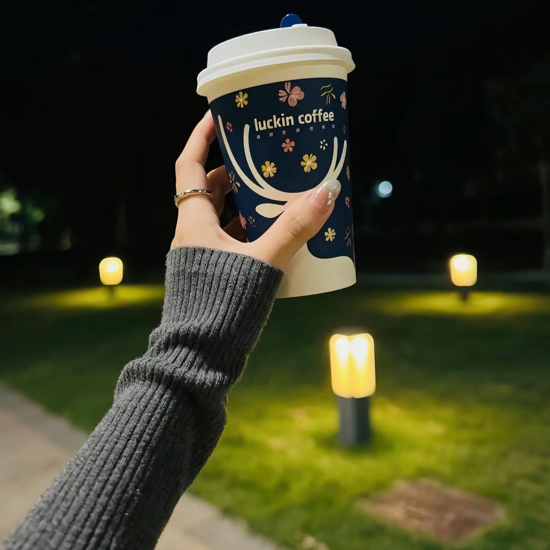 👑⁵²³🧚🏾‍♀️