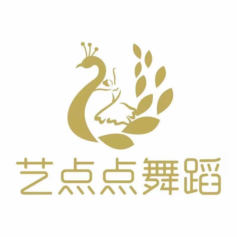 武汉艺点点舞蹈