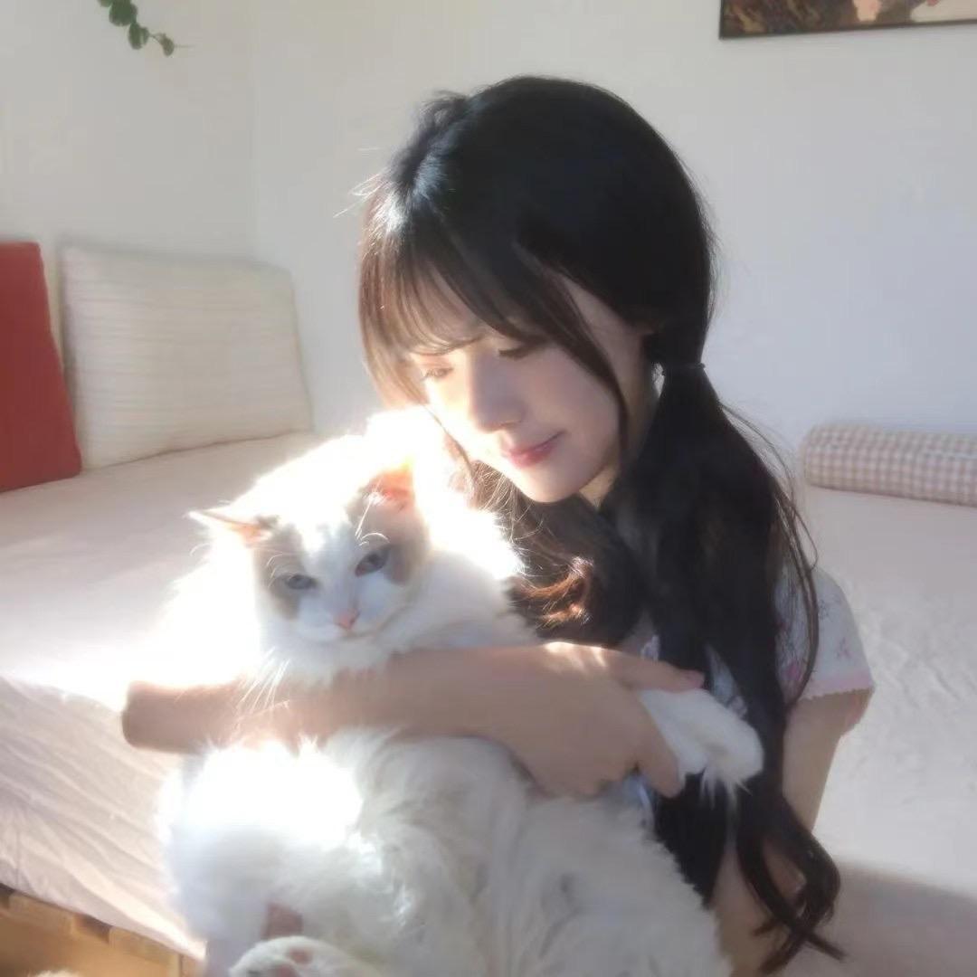 多肉◍•ᴗ•◍